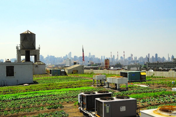 BrooklynGrange2